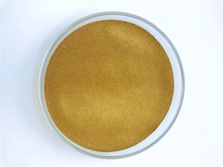 Sodium Polynaphthalene Sulfonate SNF